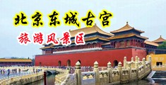 超级大黑屌插逼流水视频中国北京-东城古宫旅游风景区
